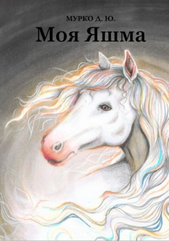 Д. Ю. Мурко. Моя Яшма