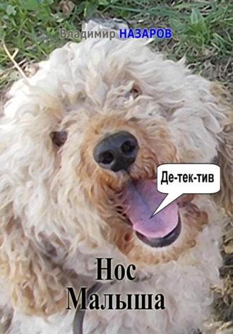 . Нос Малыша