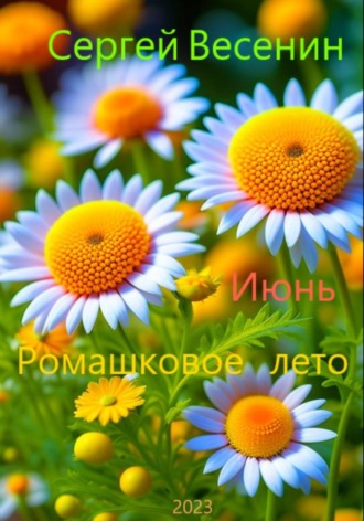 Сергей Весенин. Ромашковое лето