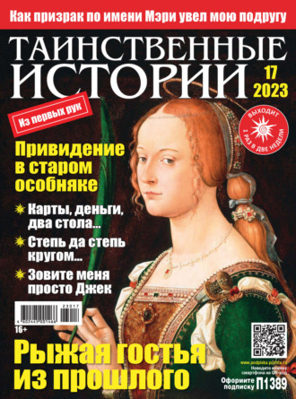 . Таинственные истории №17/2023