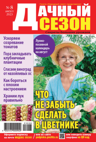 . Дачный сезон №08/2023