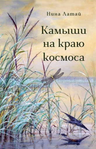 . Камыши на краю космоса