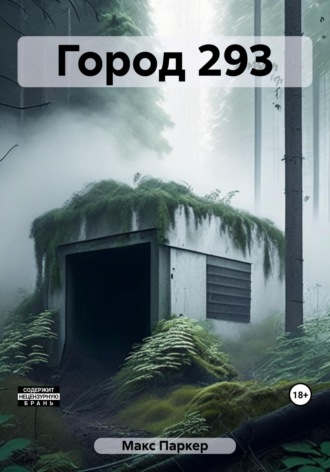 . Город 293