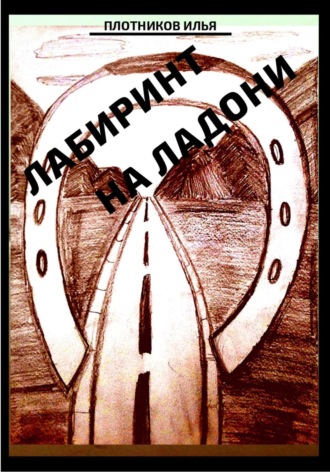 Илья Викторович Плотников. Лабиринт на ладони