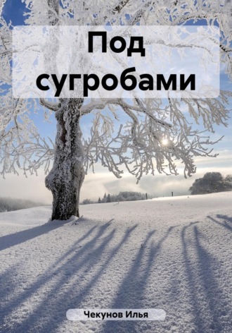 Илья Владимирович Чекунов. Под сугробами