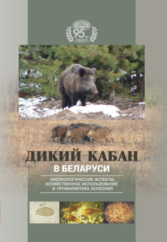 . Дикий кабан в Беларуси. Биоэкологические аспекты, хозяйственное использование и профилактика болезней