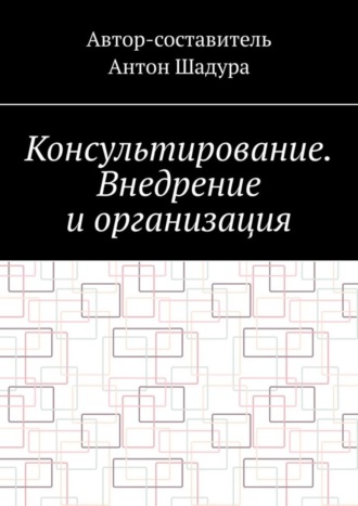 Антон Анатольевич Шадура. Консультирование. Внедрение и организация