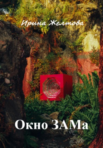 . Окно ЗАМа