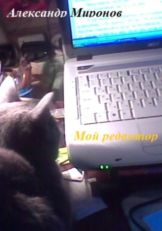 Александр Леонидович Миронов. Мой редактор