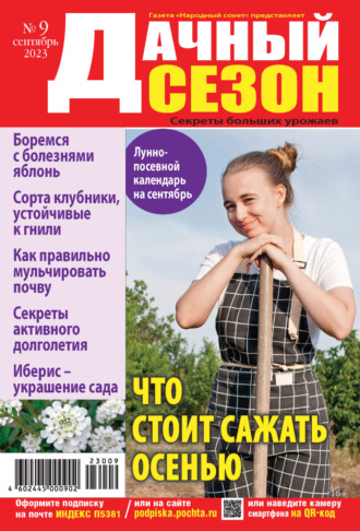 . Дачный сезон №09/2023