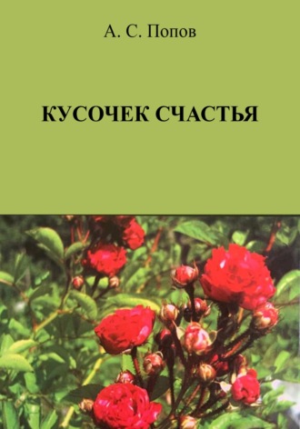 Александр Семёнович Попов. Кусочек счастья
