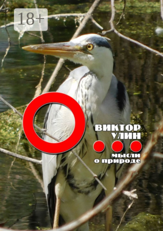 Виктор Улин. О… Мысли о природе