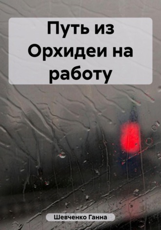 . Путь из Орхидеи на работу