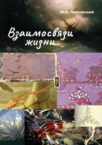 Ю. В. Чайковский. Взаимосвязи жизни. Миниэнциклопедия дополняет. Том 1. А – П