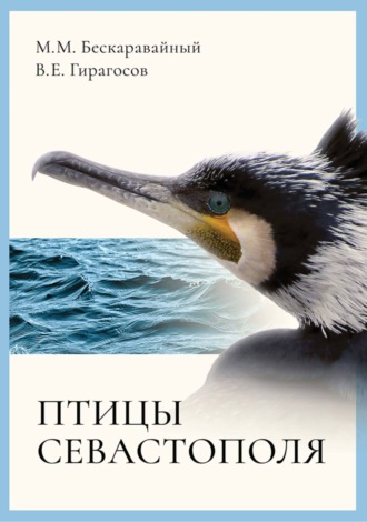 М. М. Бескаравайный. Птицы Севастополя