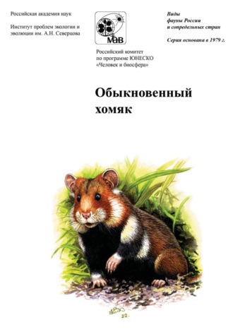 А. В. Суров. Обыкновенный хомяк