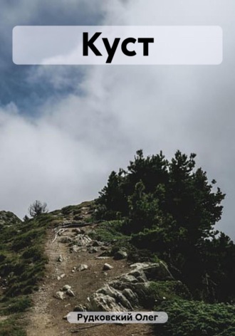 Олег Анатольевич Рудковский. Куст