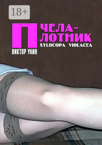 Виктор Улин. Пчела-плотник. Xylocopa violacea