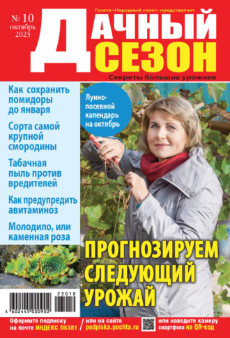 . Дачный сезон №10/2023