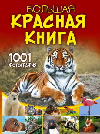 . Большая красная книга. 1001 фотография