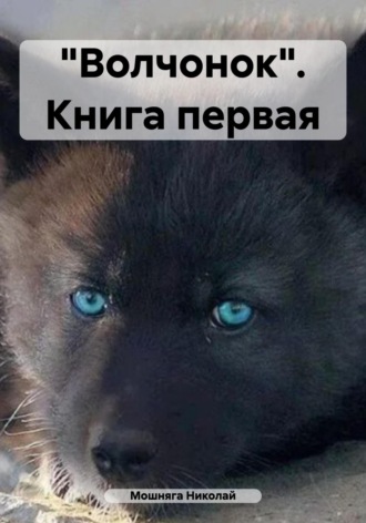 . «Волчонок». Книга первая