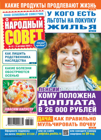 . Народный совет №41/2023