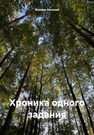 Евгений Александрович Жиляев. Хроника одного задания