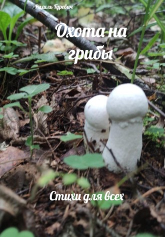 . Охота на грибы