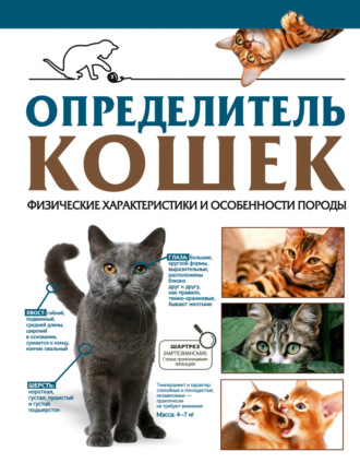 . Определитель кошек. Физические характеристики и особенности породы