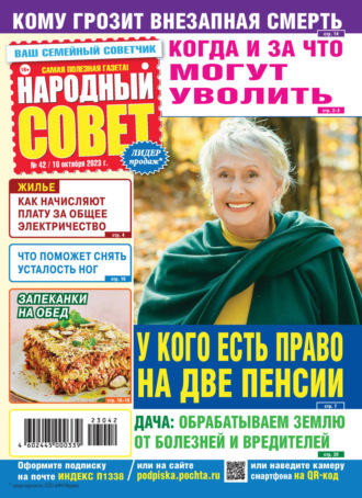 . Народный совет №42/2023