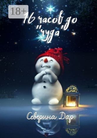 Северина Дар. 16 часов до «чуда»