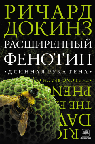 . Расширенный фенотип: длинная рука гена