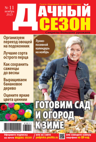 . Дачный сезон №11/2023