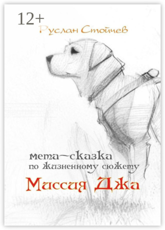 Руслан Стойчев. Миссия Джа. Мета-сказка по жизненному сюжету