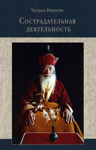 . Сострадательная деятельность