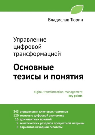 Владислав Владимирович Тюрин. Управление цифровой трансформацией. Основные тезисы и понятия