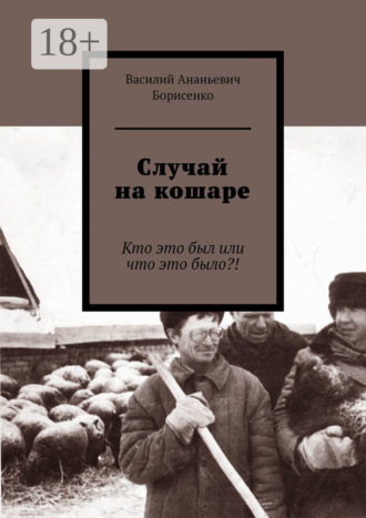 Василий Ананьевич Борисенко. Случай на кошаре. Кто это был или что это было?!