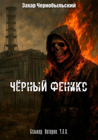 . Сталкер. Истории. Ч.З.О. Чёрный Феникс