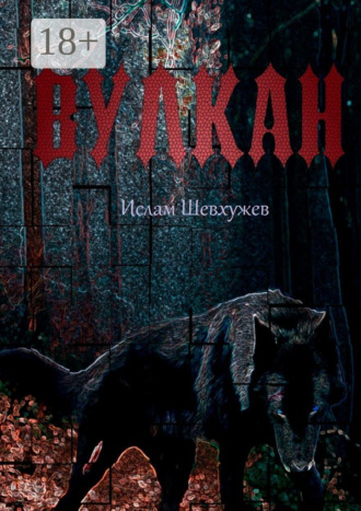 Ислам Рахмедович Шевхужев. Вулкан