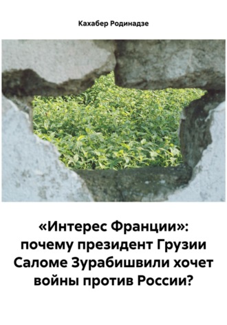 Кахабер Отарович Родинадзе. «Интерес Франции»: почему президент Грузии Саломе Зурабишвили хочет войны против России?