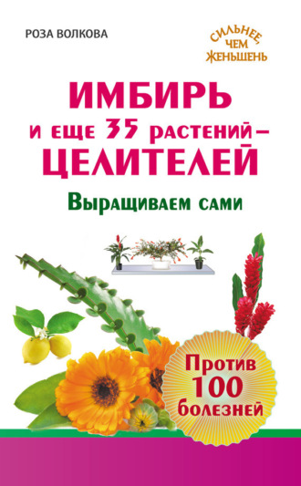 . Имбирь и еще 35 растений-целителей. Выращиваем сами. Против 100 болезней
