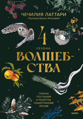 Чечилия Латтари. 4 сезона волшебства. Тайные послания и рецепты, нашептанные лесом