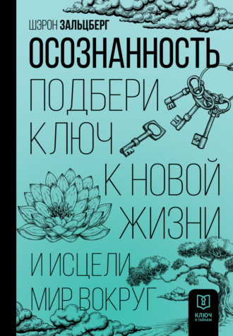 Шэрон Зальцберг. Осознанность. Подбери ключ к новой жизни и исцели мир вокруг