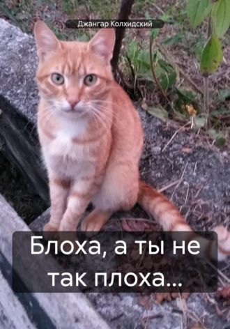 . Блоха, а ты не так плоха…