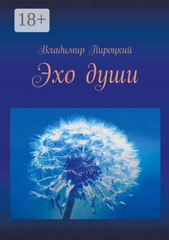 Владимир Пироцкий. Эхо души