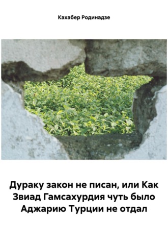 Кахабер Отарович Родинадзе. Дураку закон не писан, или Как Звиад Гамсахурдия чуть было Аджарию Турции не отдал