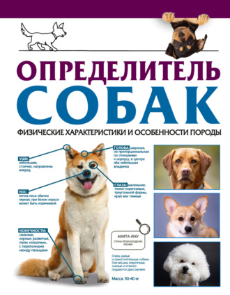 . Определитель собак. Физические характеристики и особенности породы