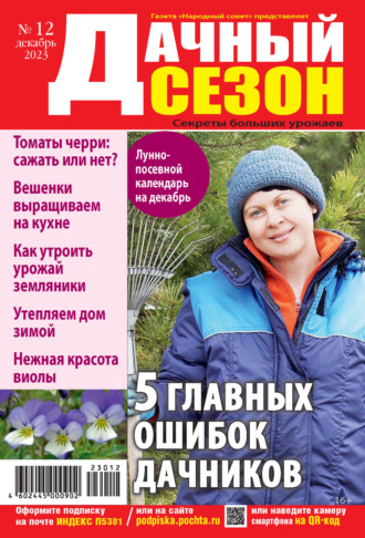 . Дачный сезон №12/2023
