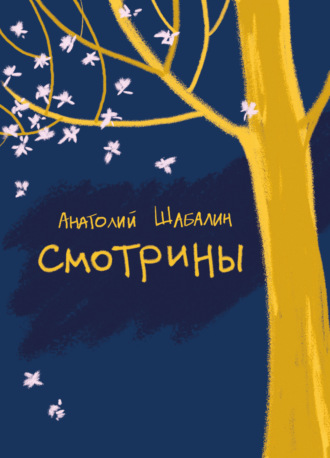 Анатолий Шабалин. Смотрины