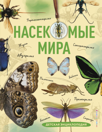 А. В. Сочивко. Насекомые мира. Детская энциклопедия